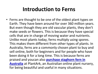Ferns_ An Introduction to Ancient Vascular Plants