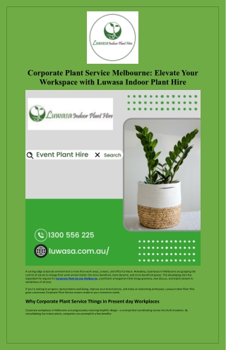 Corporate Plant Service Melbourne Elevate Your Workspace with Luwasa Indoor Plant Hire