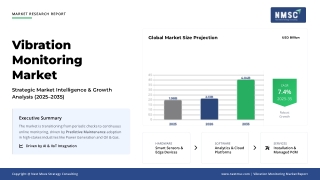 Vibration Monitoring Market Size and Share Analysis