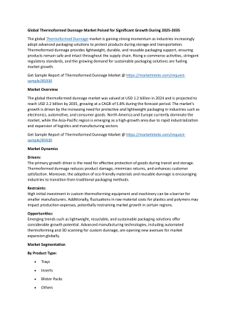 Global Thermoformed Dunnage Market Poised for Significant Growth During 2025-203