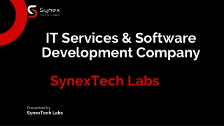 IT Services & Software Development Company  - SynexTech Labs