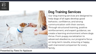Professional Dog Training Services for Puppies and Positive Social Development