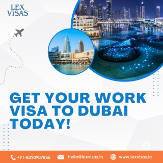 Corporate Immigration & Saudi Arabia Work Visa Services | Lex Visas