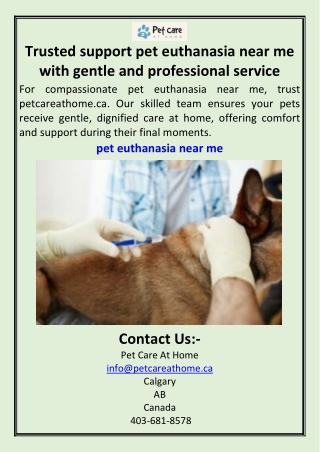 Trusted support pet euthanasia near me with gentle and professional service