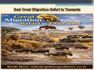 Best Great Migration Safari in Tanzania