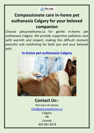 Compassionate care In-home pet euthanasia Calgary for your beloved companion