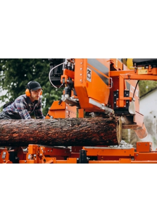 Safe Tree Removal by Professional Arborists