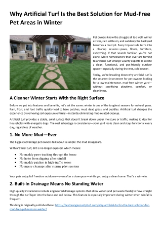 Why Artificial Turf Is the Best Solution for Mud-Free Pet Areas in Winter