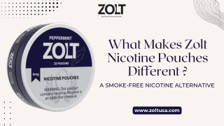 What Makes Zolt Nicotine Pouches Different ?