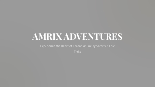 Experience the Heart of Tanzania: Luxury Safaris & Epic Treks
