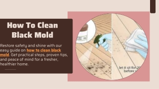How To Clean Black Mold