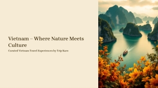 Why Vietnam is One of Asia’s Most Loved Destinations | Trip Karo