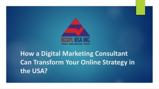 How a Digital Marketing Consultant Can Transform Your Online Strategy in the USA