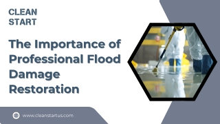 How Flood Damage Restoration Services Protect Your Property