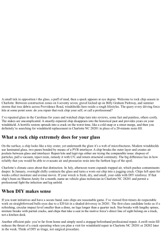 Rock Chip Repair Charlotte NC 28201: DIY vs Professional