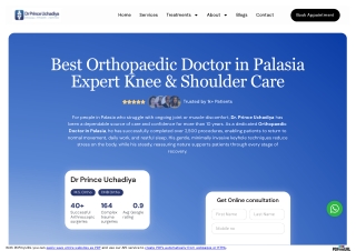Joint Pain Specialist in Palasia