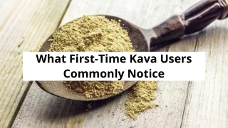 What First-Time Kava Users Commonly Notice