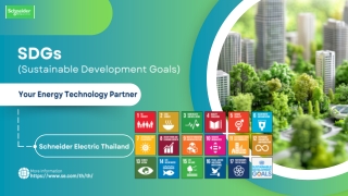 SDGs Guiding Sustainable Global Progress