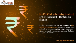 Pay Per Click Advertising Services  PPC Management – Digital Hub Solution