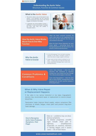 Understanding the Aortic Valve — Structure, Function & Common Issues