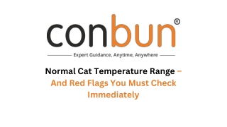 Normal Cat Temperature Range – And Red Flags You Must Check Immediately