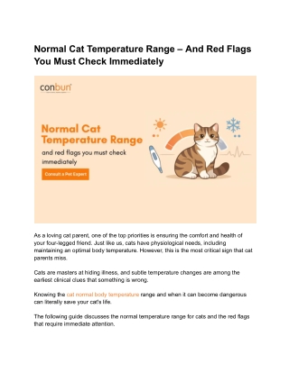 Normal Cat Temperature Range – And Red Flags You Must Check Immediately
