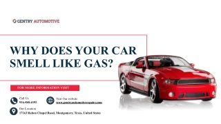 Why Does Your Car Smell Like Gas