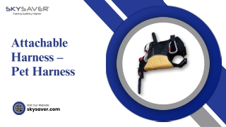 Attachable Harness – Pet Harness
