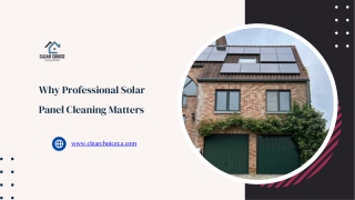 Why Professional Solar Panel Cleaning Matters