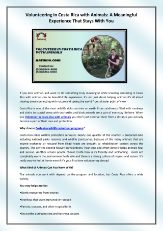 Volunteer in costa rica with animals