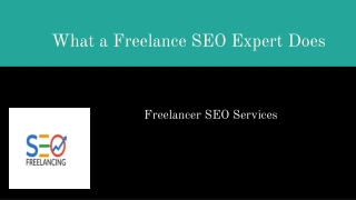 What a Freelance SEO Expert Does