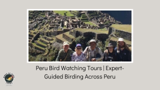 Peru Bird Watching Tours | Expert-Guided Birding Across Peru