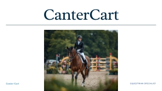 Premium Leather Halters for Horses CanterCart