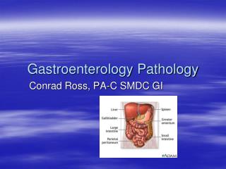 Gastroenterology Pathology