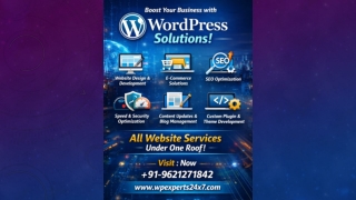 WordPress Website Updates.