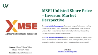 MSEI-Unlisted-Share-Price-Investor-Market-Perspective.pptx
