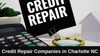 Credit Repair Companies in Charlotte, NC: A Comprehensive Guide