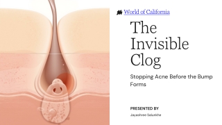 Presentation - The Invisible Clog