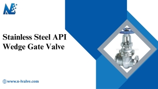 Stainless Steel API Wedge Gate Valve