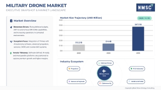 Unmanned Aerial Systems: A Strategic Shift in Defense Capabilities