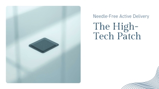 Presentation - The High-Tech Patch