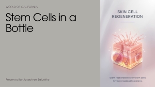 Presentation - Stem Cells in a Bottle