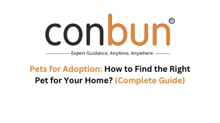 Pets for Adoption: How to Find the Right Pet for Your Home? (Complete Guide)