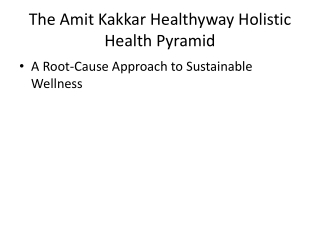 The Amit Kakkar Healthyway Holistic Health Pyramid