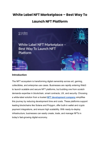 White Label NFT Marketplace – Best Way To Launch NFT Platform