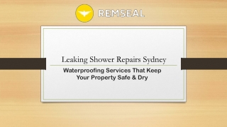 Leaking shower repairs Sydney - Remseal