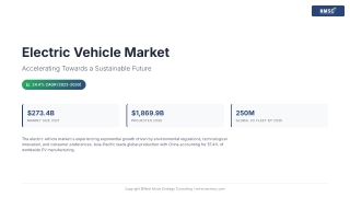 Electric Vehicle Market: Global Evolution and Future Path
