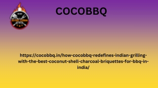 Bangalore’s Choice for Premium Coconut Charcoal Briquettes