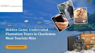 Best Plantation Tours in Charleston SC