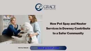 pet spay and neuter downey